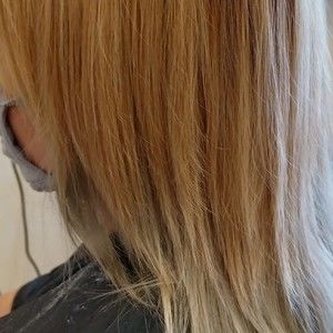 Meet your Posher, Elisa